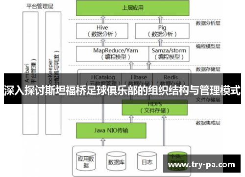 深入探讨斯坦福桥足球俱乐部的组织结构与管理模式