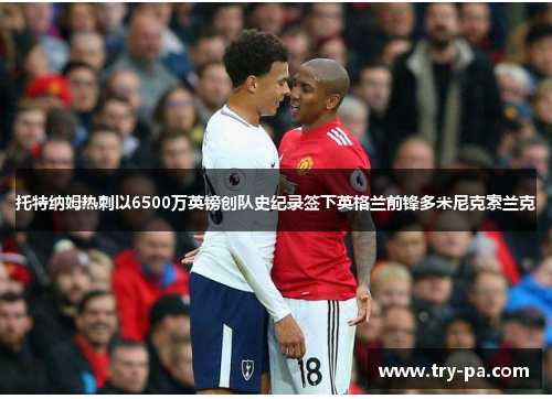 托特纳姆热刺以6500万英镑创队史纪录签下英格兰前锋多米尼克索兰克